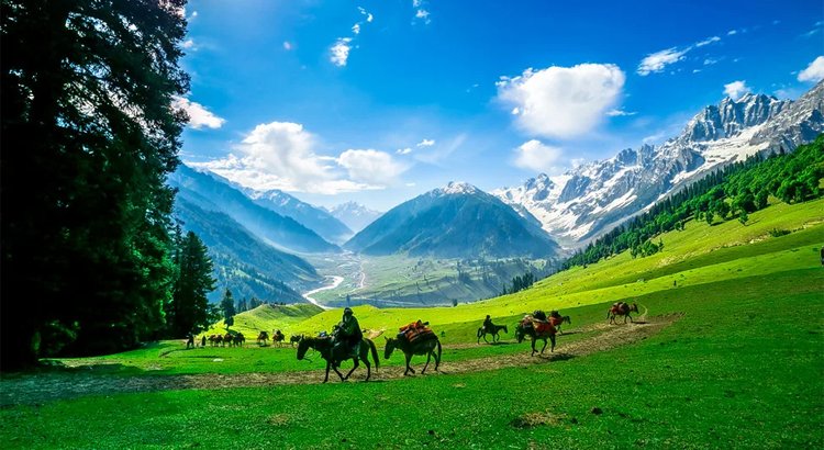 Wonderful Srinagar Holiday with Pahalgam and Gulmarg